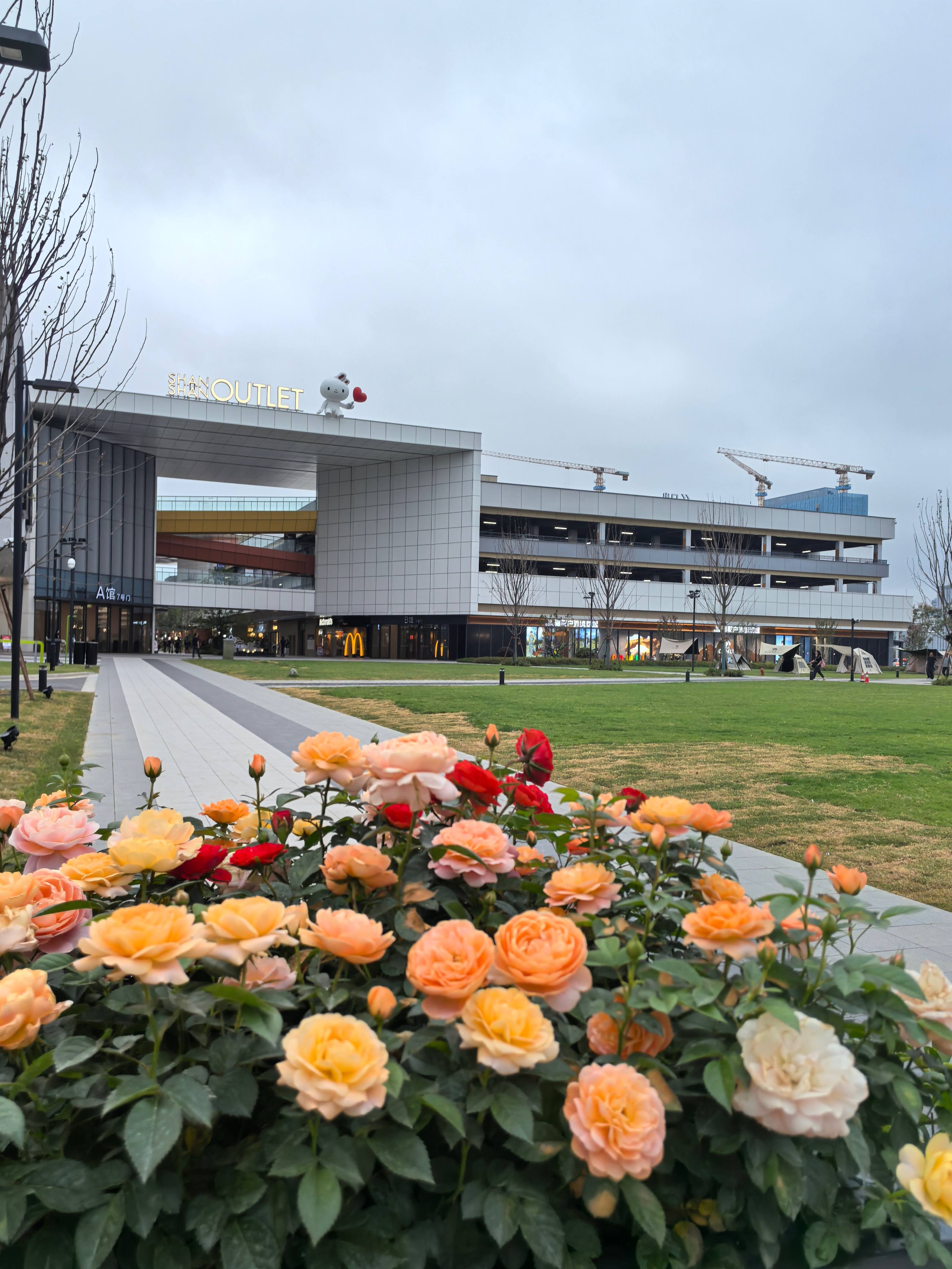 长沙花卉租摆-长沙绿植租赁-新憧憬园艺-商场花卉租摆-商场绿植景观-长沙杉杉奥特莱斯