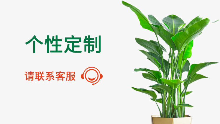 个性定制